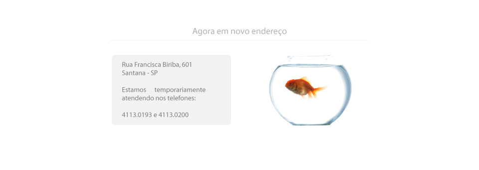 Slide 7